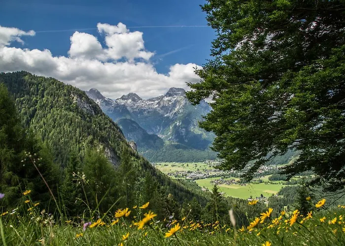 Flatscherbauer בית חווה לופר