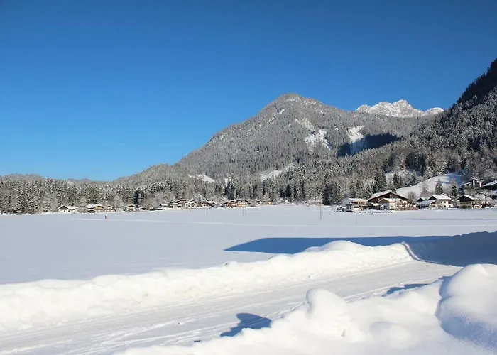 Flatscherbauer לופר